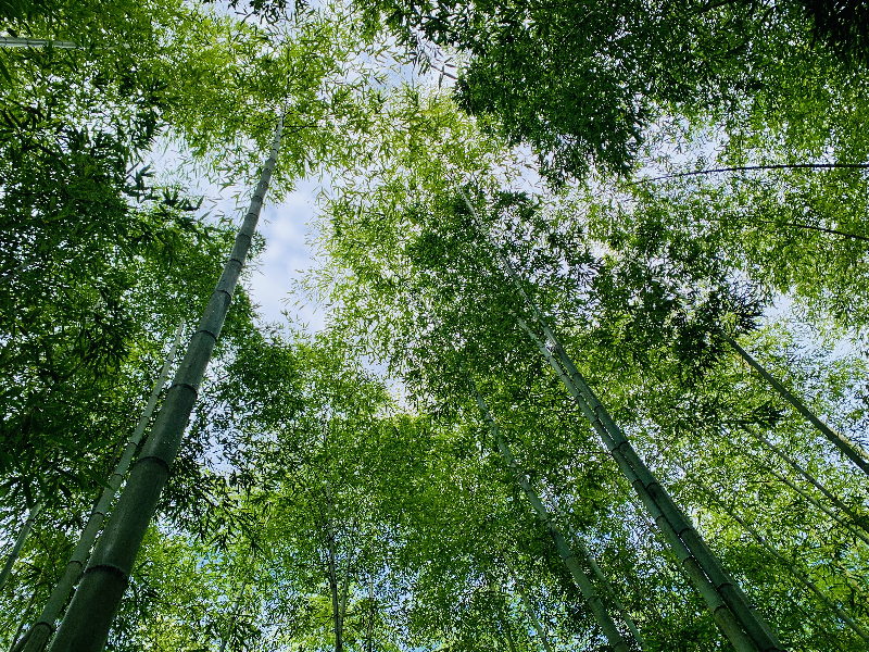 夏日浪漫请查收！(图1)